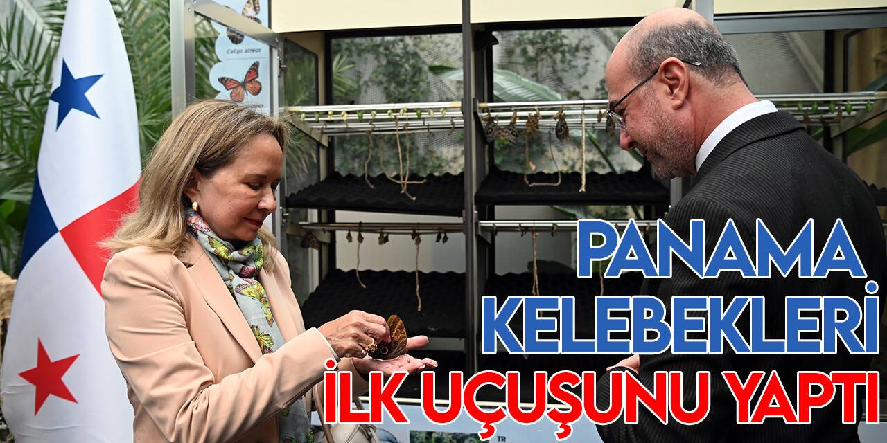 Konya'nın en çok ziyaret edilen ikinci turizm mekânında Panama kelebekleri ilk uçuşunu yaptı