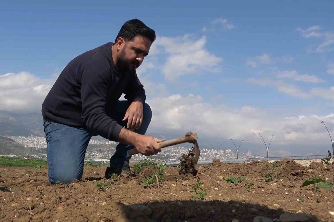 Depremzede çiftçiler tarlalarında mesaiye başladı