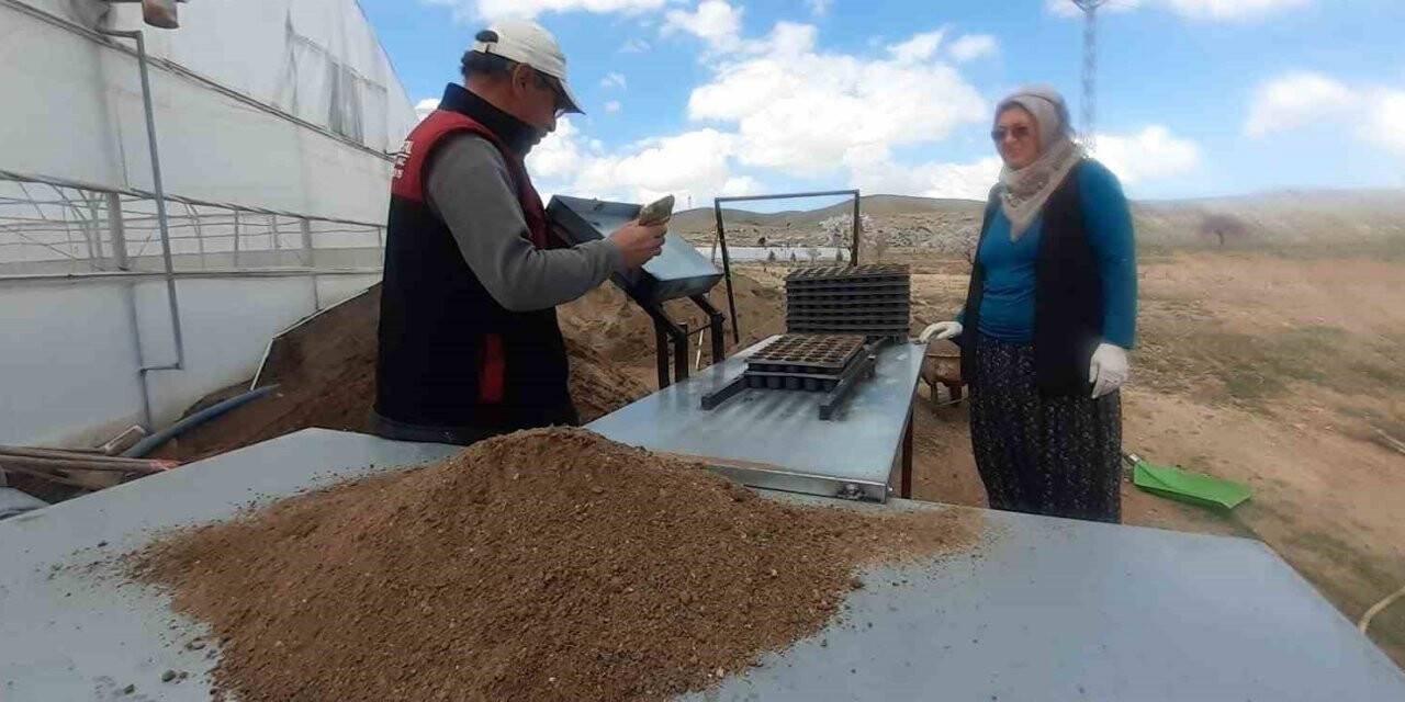 KOP desteğiyle 40 milyon tohum toprakla buluştu