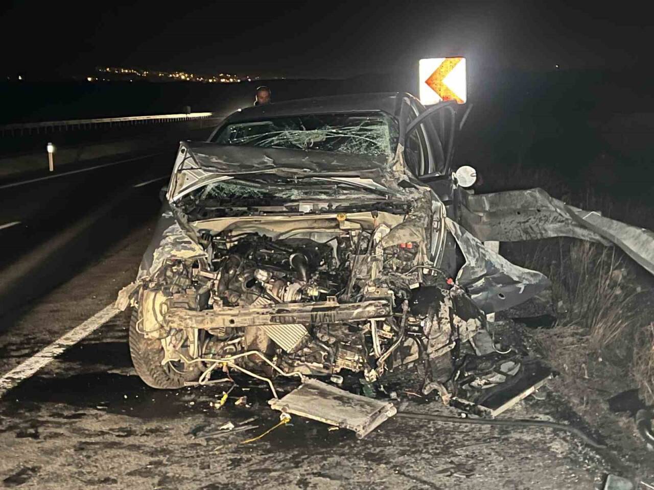 Başıboş köpek kazaya neden oldu