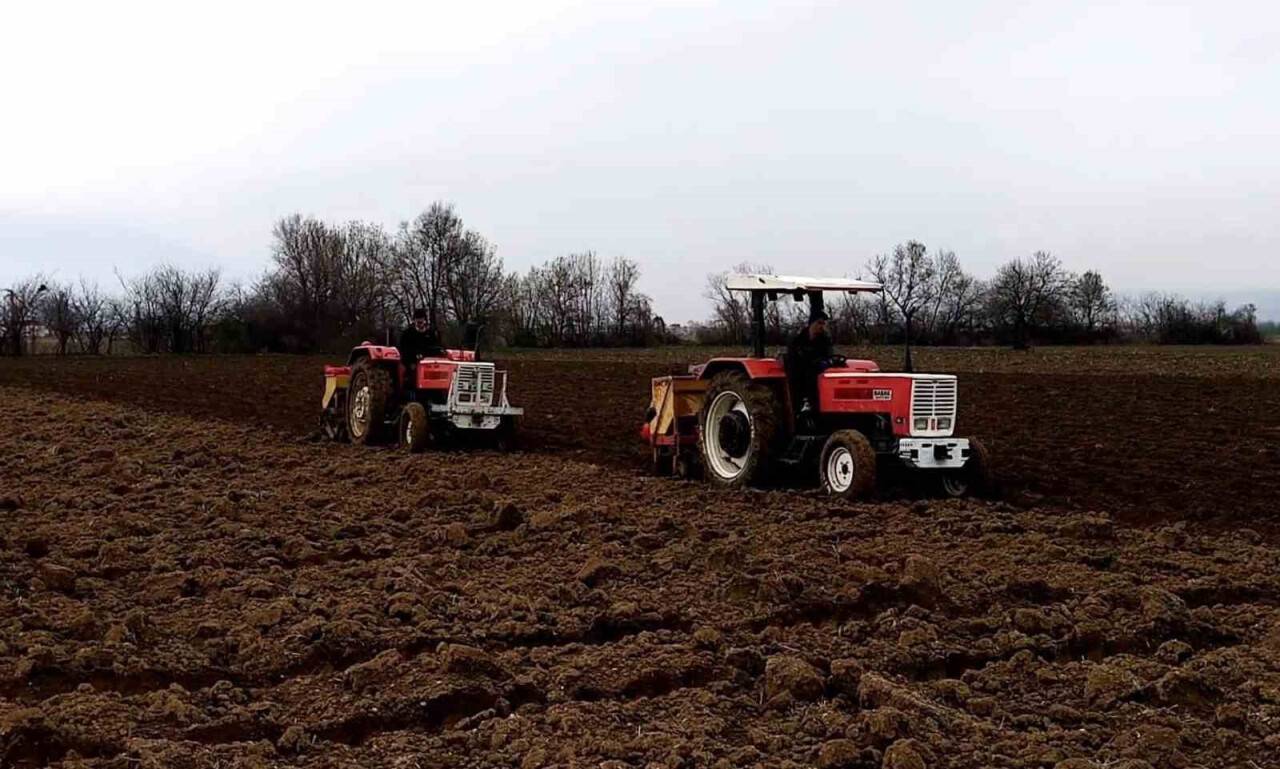 Etkili olan yağışlar çiftçiye umut oldu