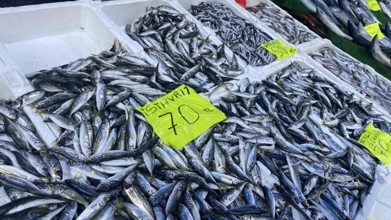 Av yasağı öncesi tezgahlara yoğun ilgi