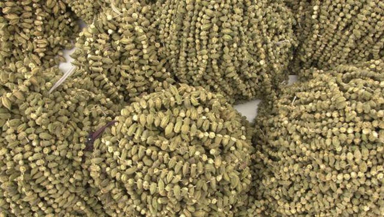 Şifa deposu kuru bamya  ilgi görüyor