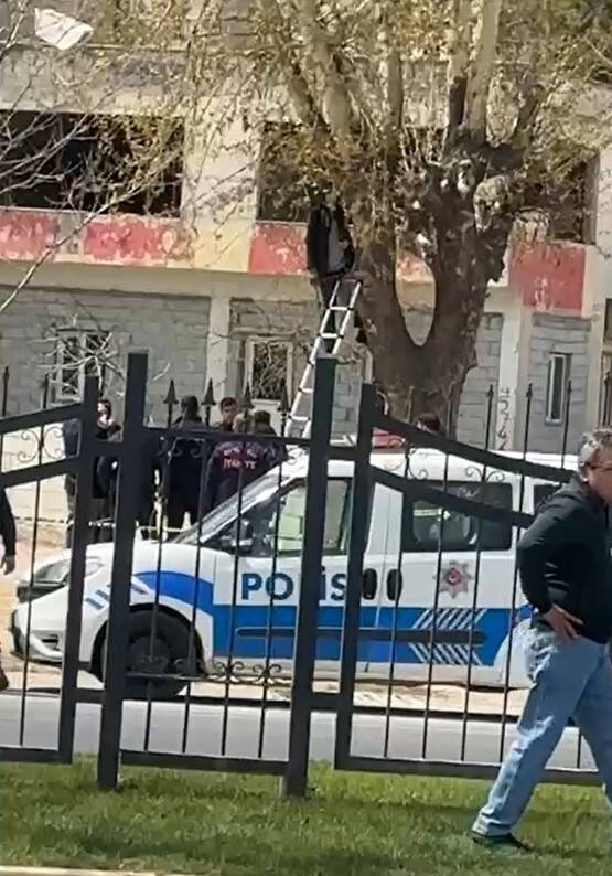 Ağaca asılı halde ölü bulundu