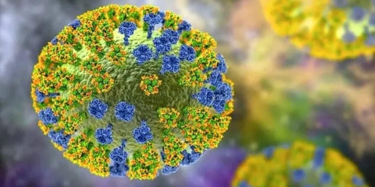 Kuş gribinin H3N8 türevi kaynaklı ilk insan ölümü Çin’de yaşandı