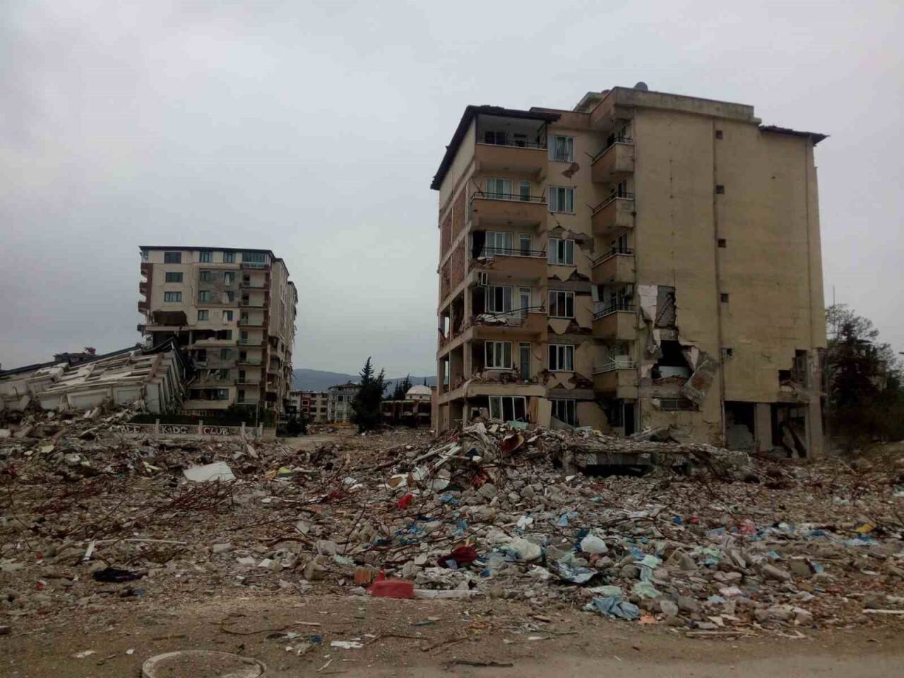 Orman personeli deprem bölgesinde yara sarıyor
