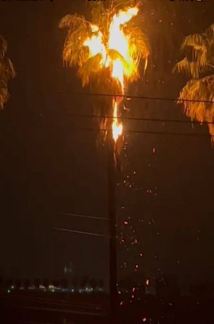 Yıldırım isabet eden ağaç yandı