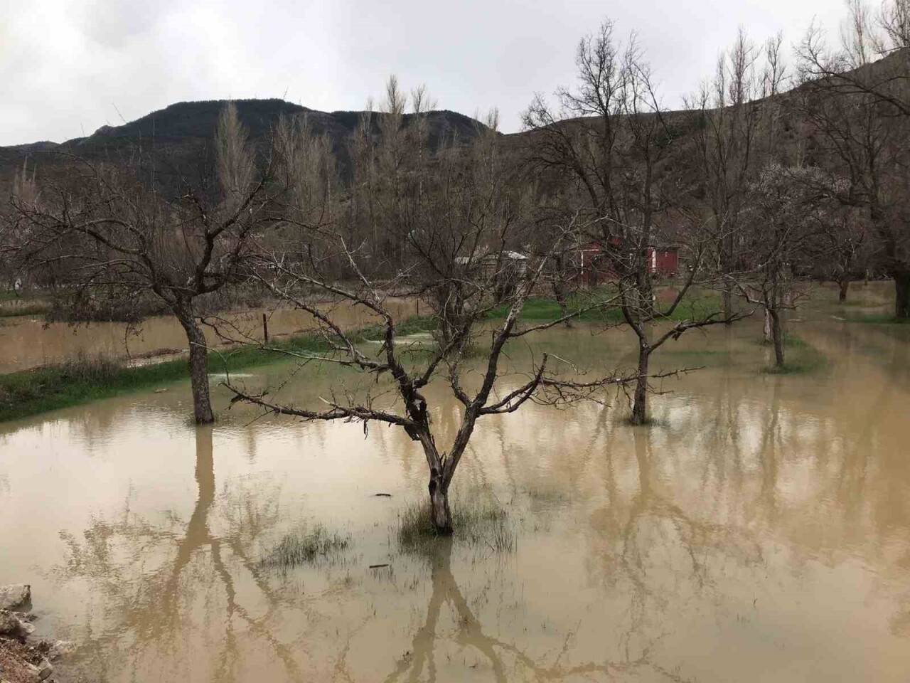 Bahçeler gölete döndü