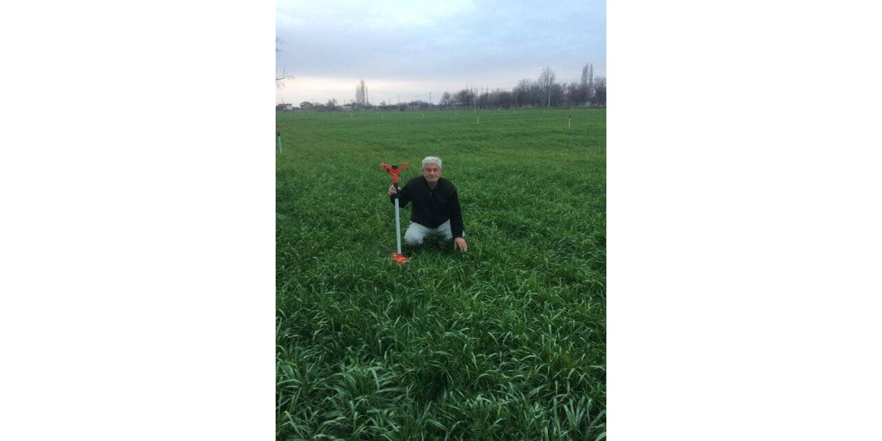 Rahmet kıraçlara hayat verdi