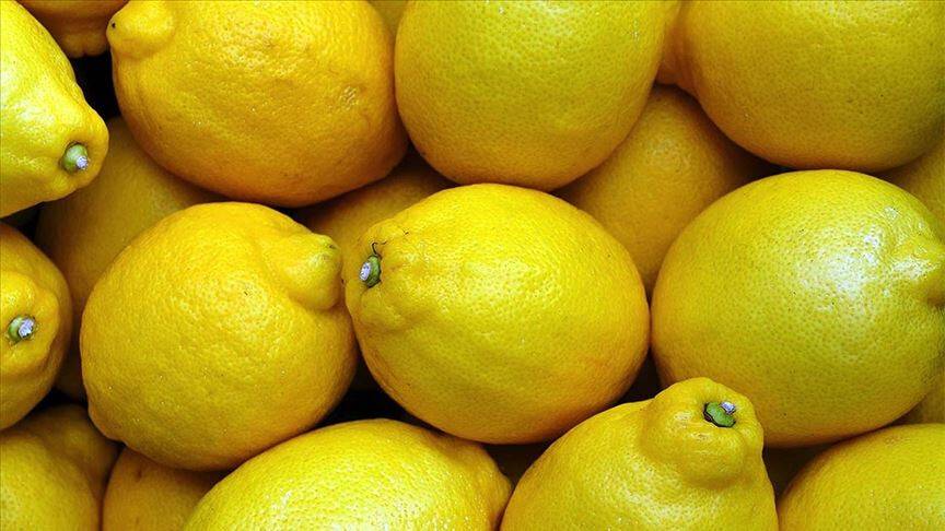 Bu vitaminler bağışıklık sistemini güçlendiriyor