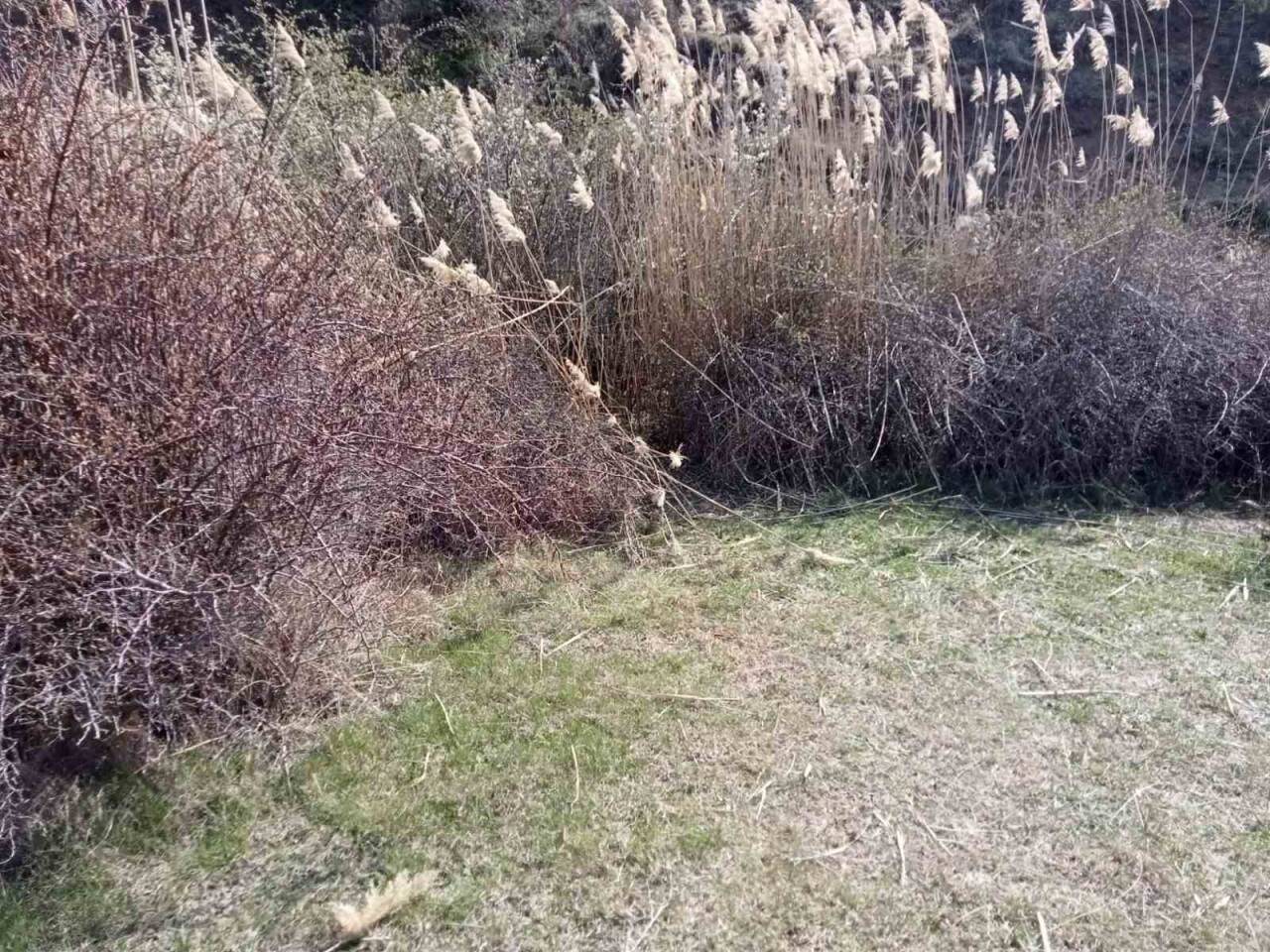 Başkentte dehşete düşüren olay, kafası parçalanmış halde bulundu