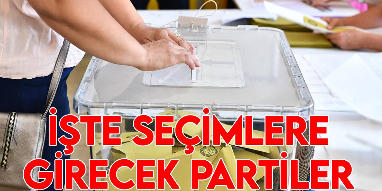 Seçimlere girecek parti sayısı ve işte o partiler