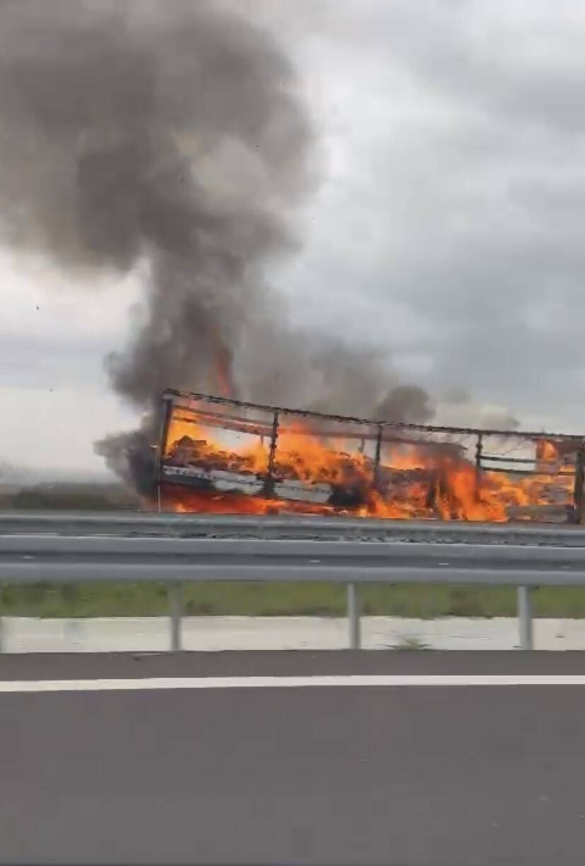 Seyir halindeki tırın dorsesinde yangın çıktı