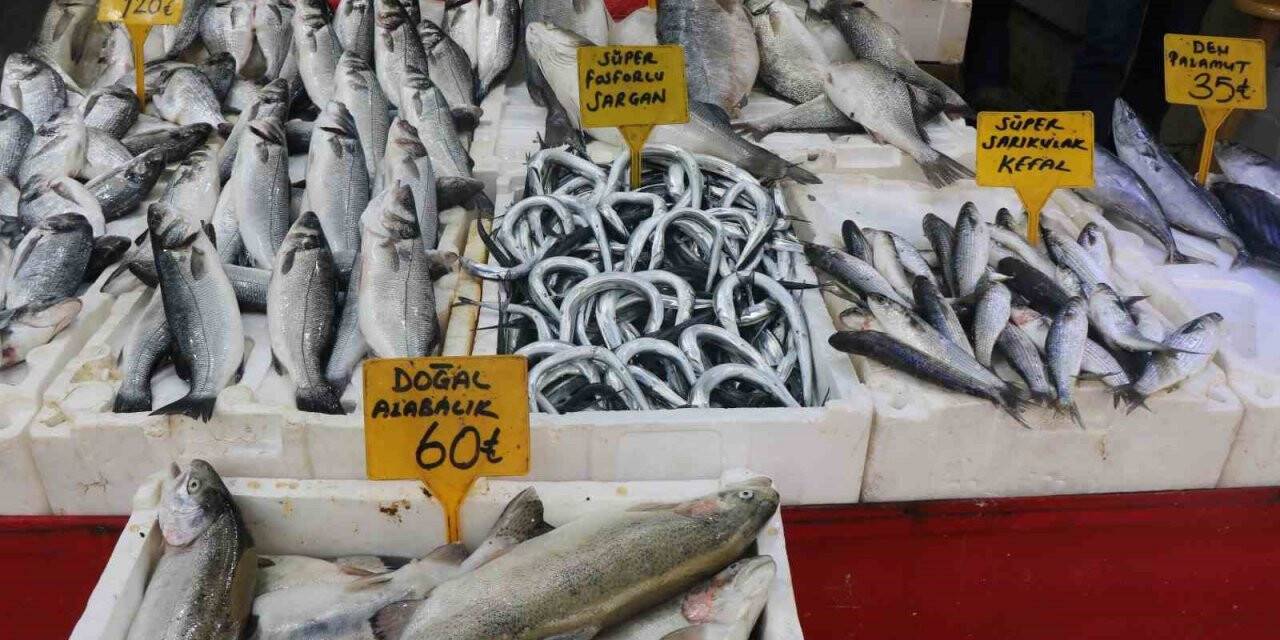 Mevsim balıklarının yerini kültür balıkları aldı