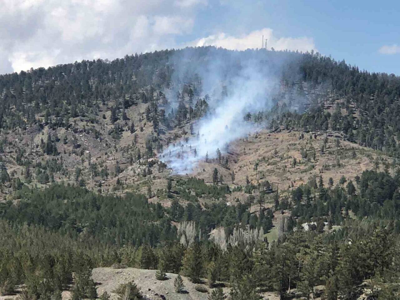 Konya’da ormanlık alanda yangın