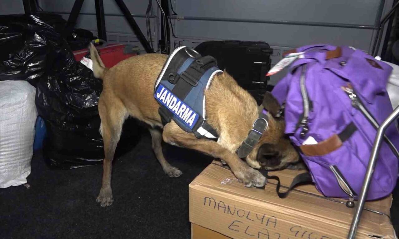 Araçlar didik didik arandı