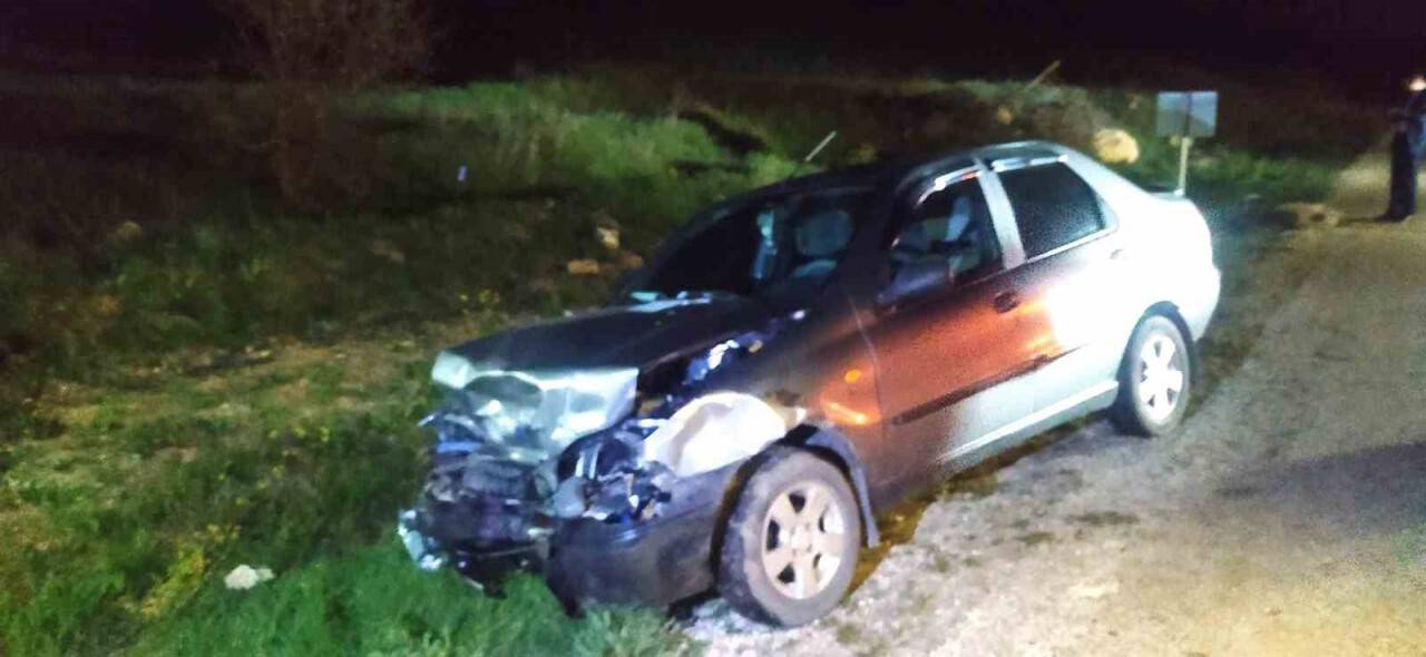 Otomobil domuz sürüsüne daldı