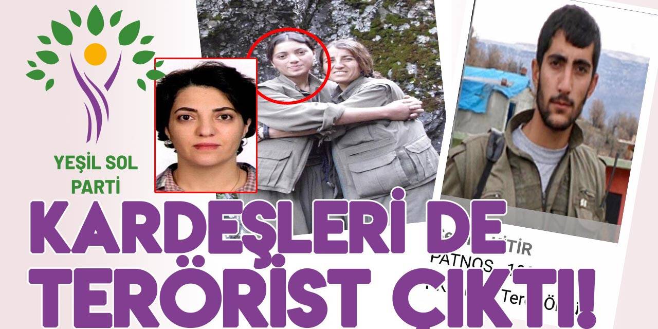 Yakalanan Yeşil Sol Parti adayı Ayten Dönmez’in kardeşleri de PKK'lı çıktı