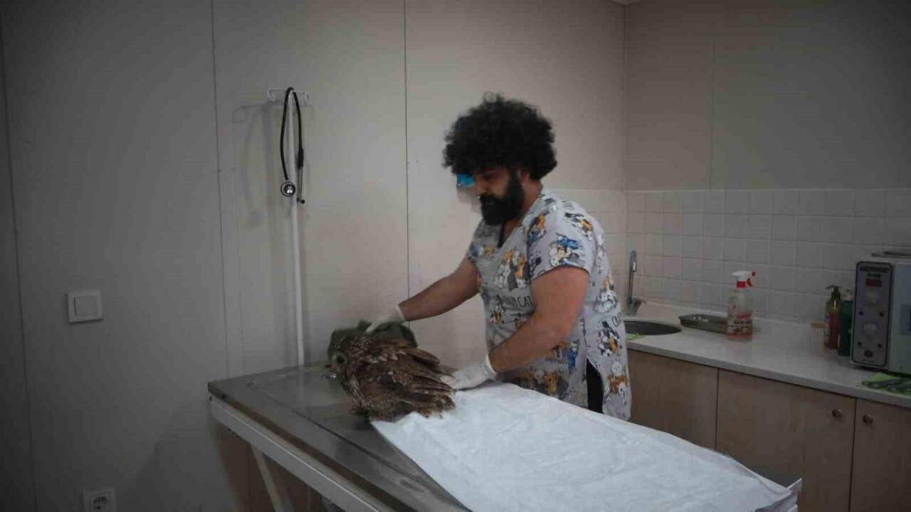 Bebek gibi elleriyle beslediler