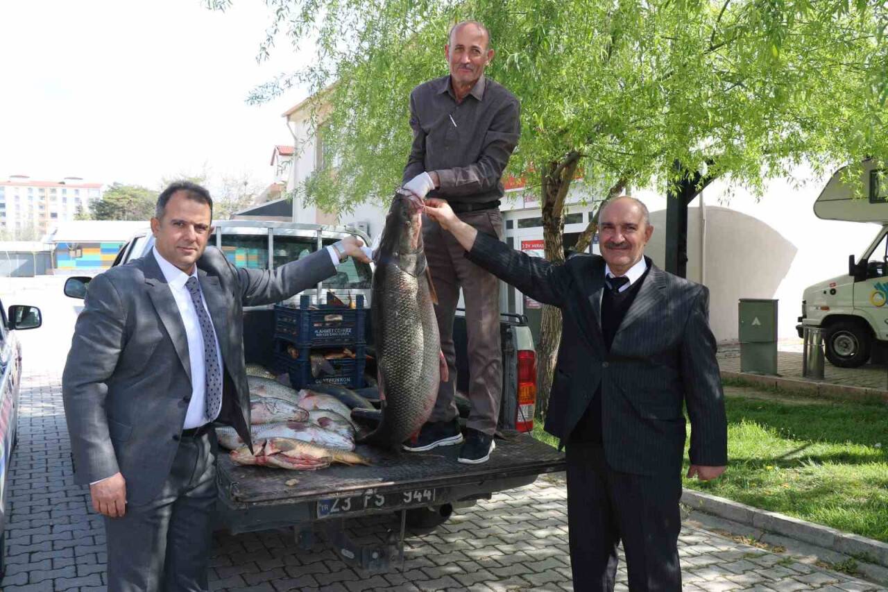 Kaçak avlanan 2,5 ton balık ele geçirildi