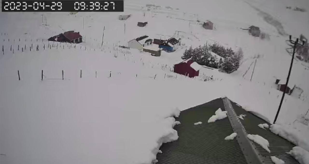 Bir gecede beyaza büründü