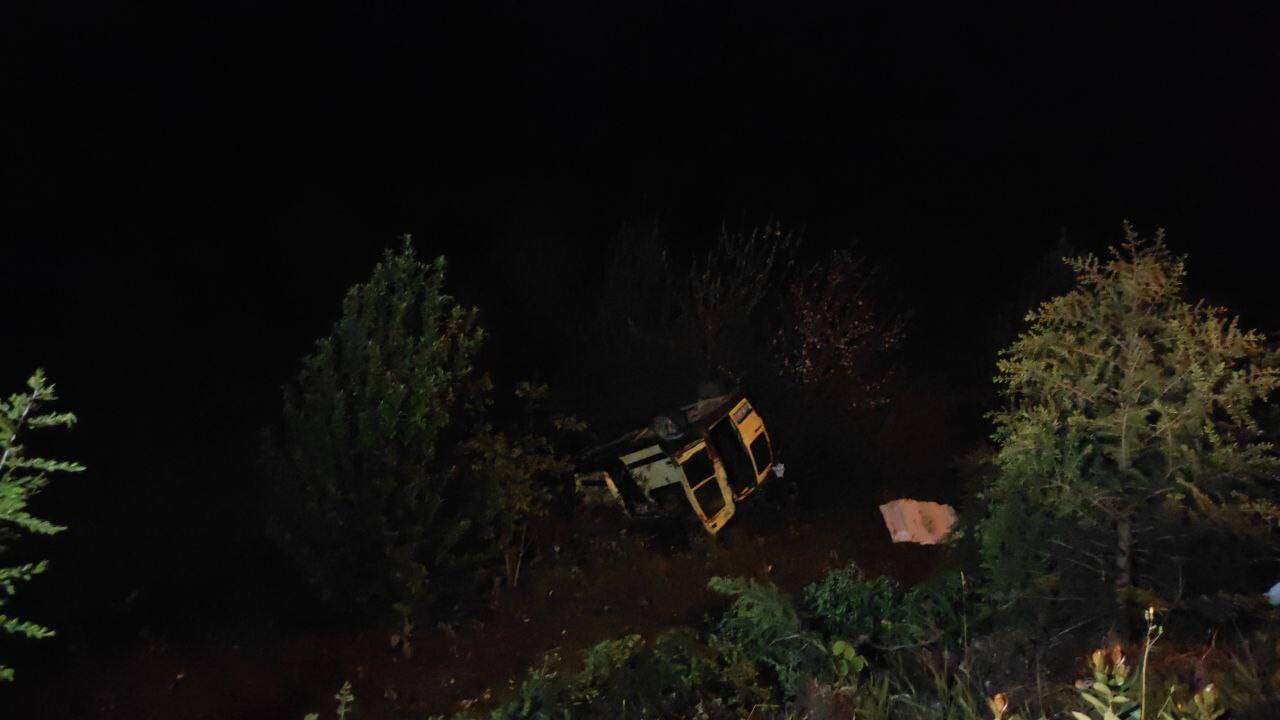 Ehliyetsiz sürücü ağaçlık alana uçtu: 2 yaralı