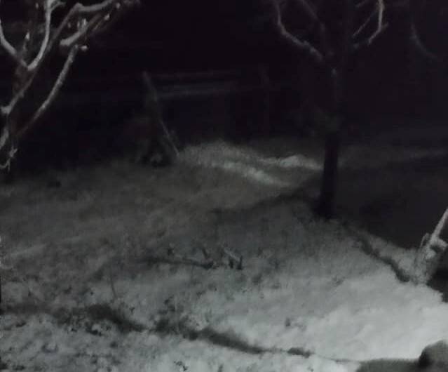 Malatya’da Nisan ayında kar sürprizi