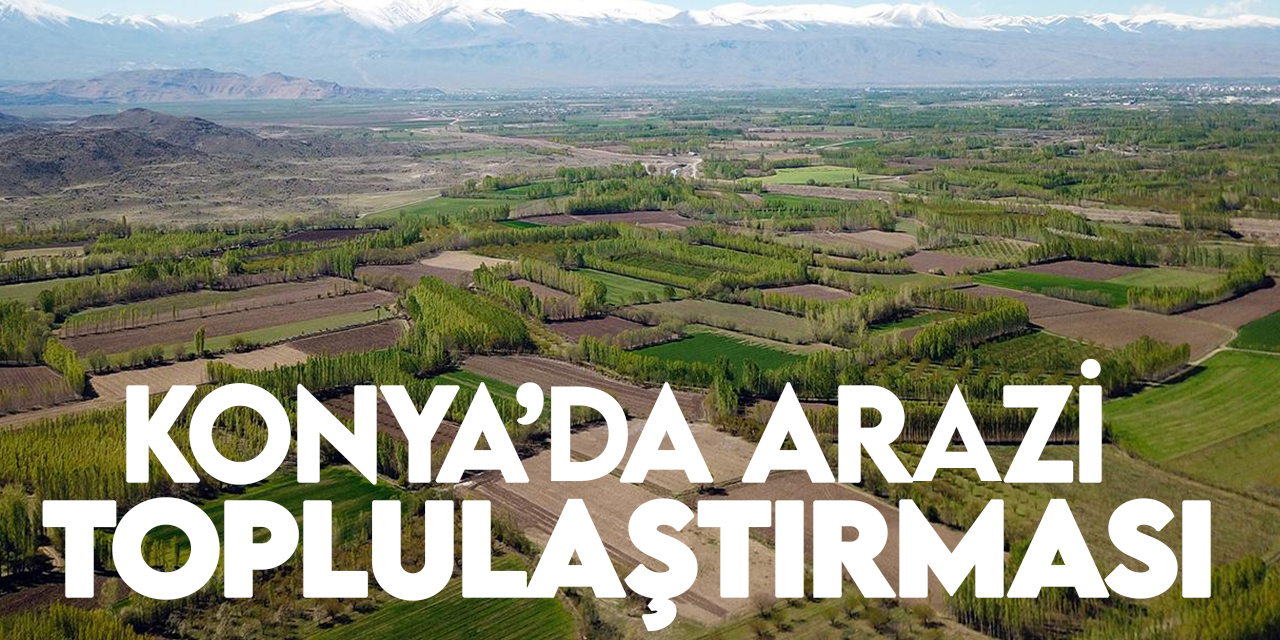 Konya'nın bazı ilçelerinde arazi toplulaştırması yapılacak