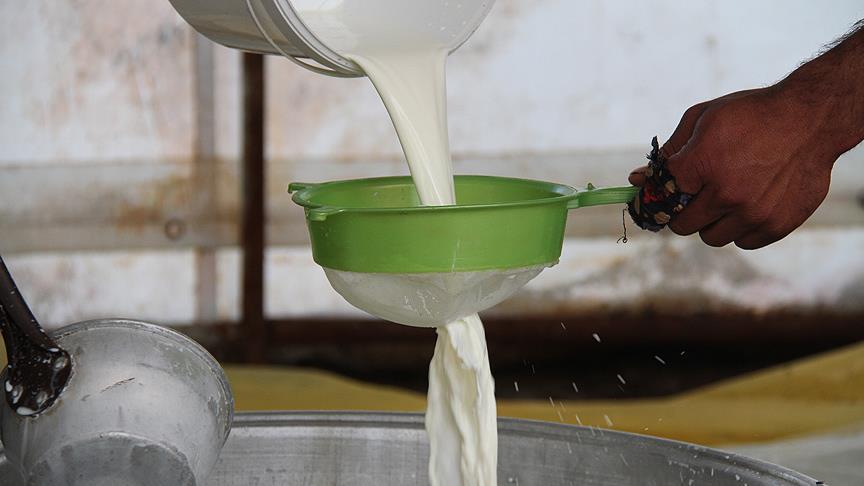 2022'de 21,6 milyon ton çiğ süt üretildi
