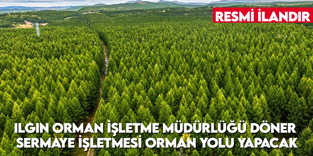 Karaağa Orman İşletme Şefliğine 2 adet B Tipi yeni orman yolu yapılacak