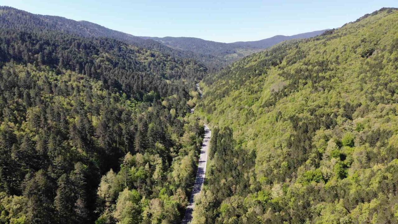 Yeşilin binbir tonuna ev sahipliği yapıyor