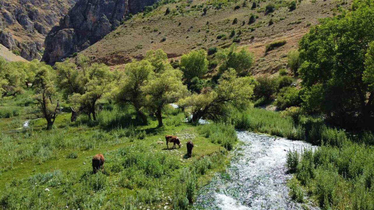 Girlevik Şelalesi’ndeki gözeler, doğaseverlerin uğrak yeri oldu