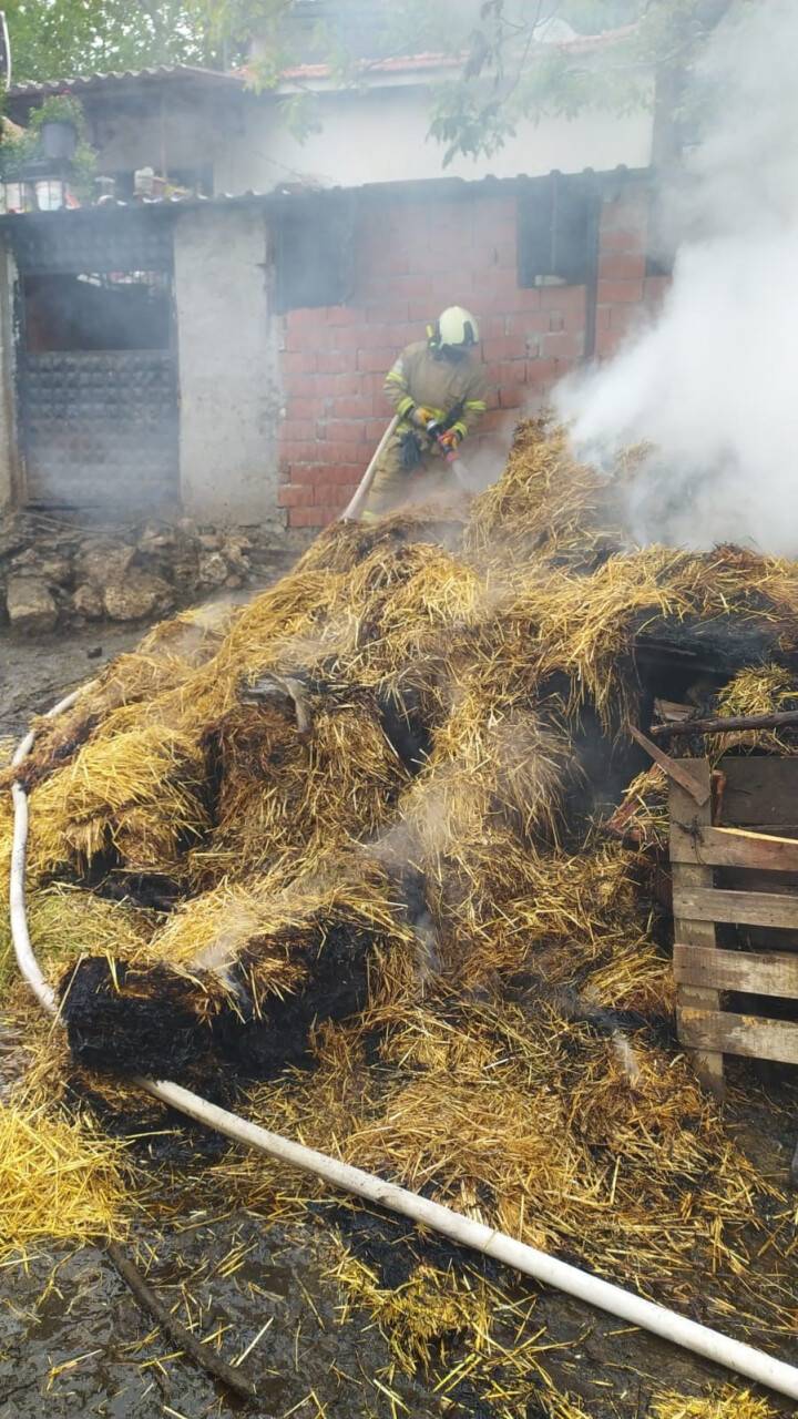 Hayvan damında yangın çıktı, onlarca küçükbaş hayvan kurtarıldı