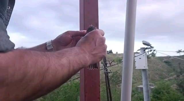 Demir profilde sıkışan kuş böyle kurtarıldı