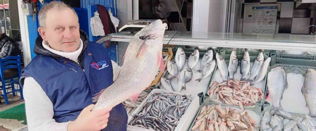 Minekop bağlığı kilosu 250 TL’den tezgahta yerini aldı