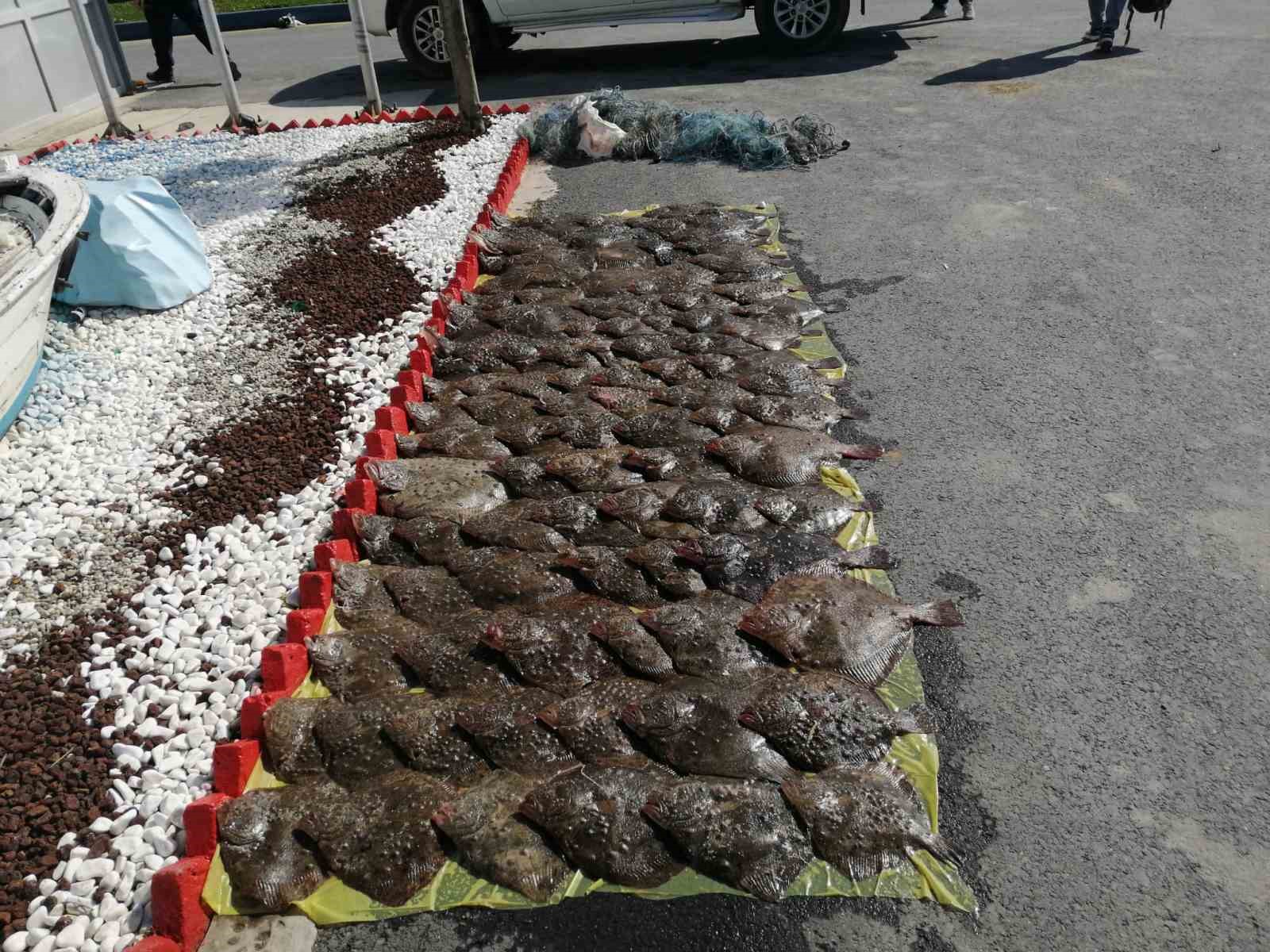 İstanbul'da yasadışı avlanılan yarım ton kalkan balığına el konuldu