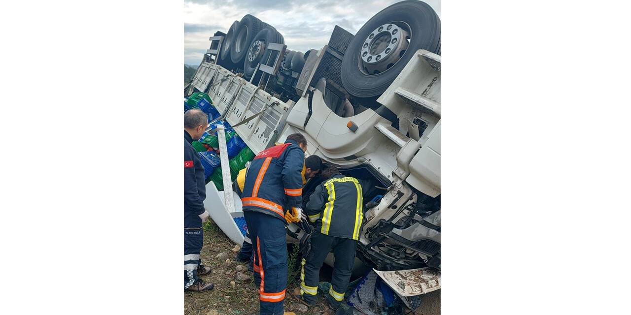 Sebze yüklü kamyon devrildi, sürücüsü yaralandı