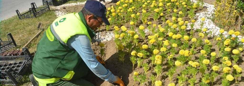 Ereğli'de park ve refüjlere çiçek dikimini sürüyor