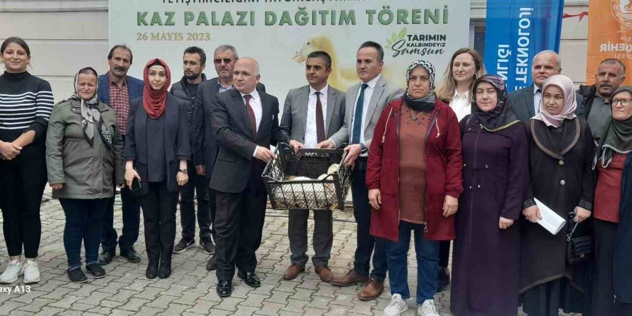 Kaz üretimi artırılacak