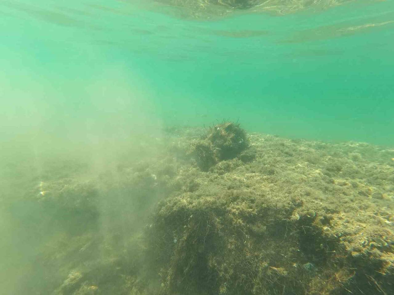 Çayırlara verilen tahribat görüntülendi