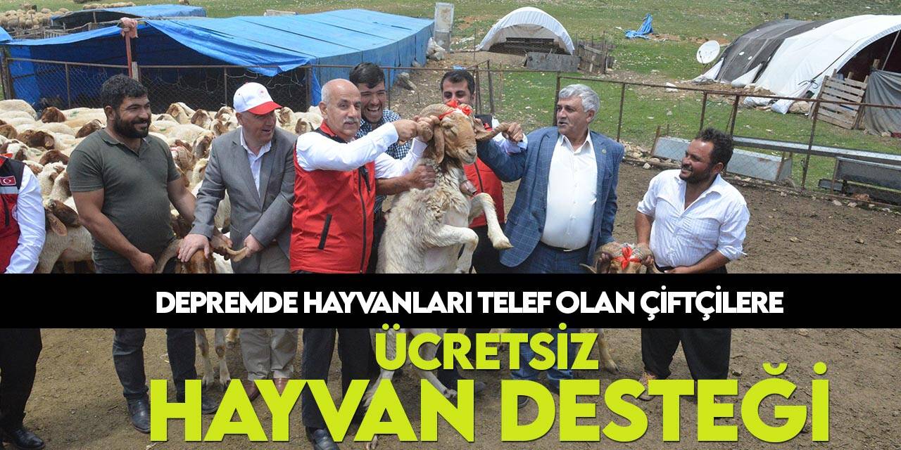 Depremzede yetiştiricilere hibe hayvanın dağıtımı başladı