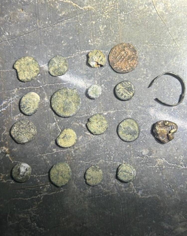 Aranan 106 kişi tutuklandı