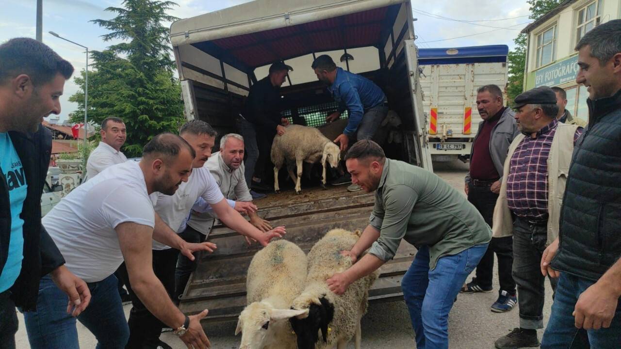 Cumhurbaşkanı Erdoğan için 7 küçükbaş hayvan kestirdi