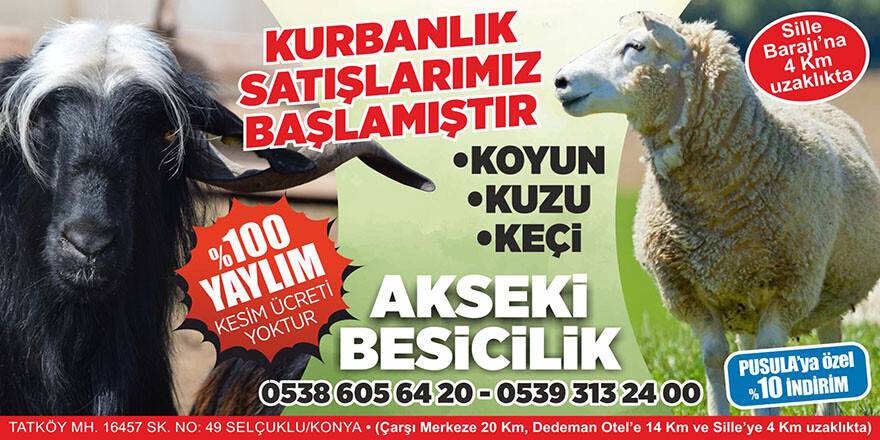 Küçükbaş kurbanlıkta güvenilir adres: Akseki Besicilik