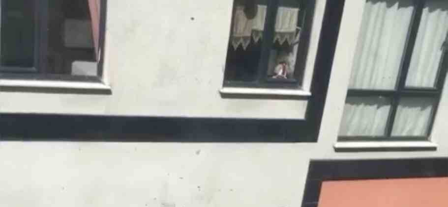 Toplu arı paniği kamerada: Vatandaşlar pencereleri açamadı