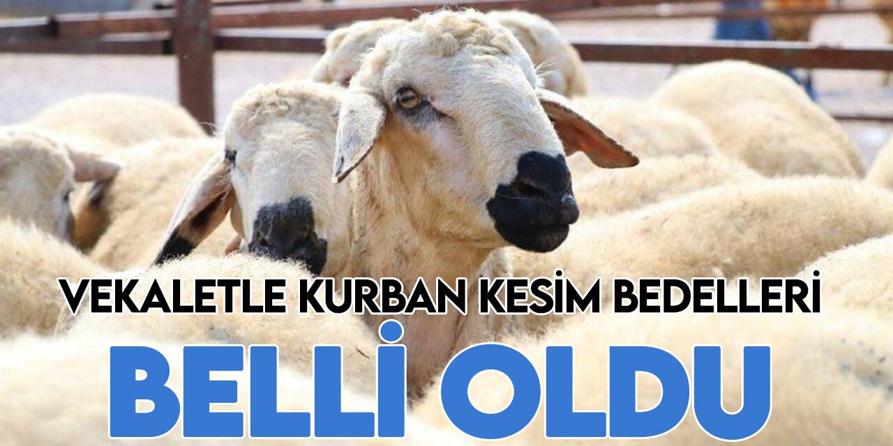 Vekaletle kurban kesim bedelleri açıklandı