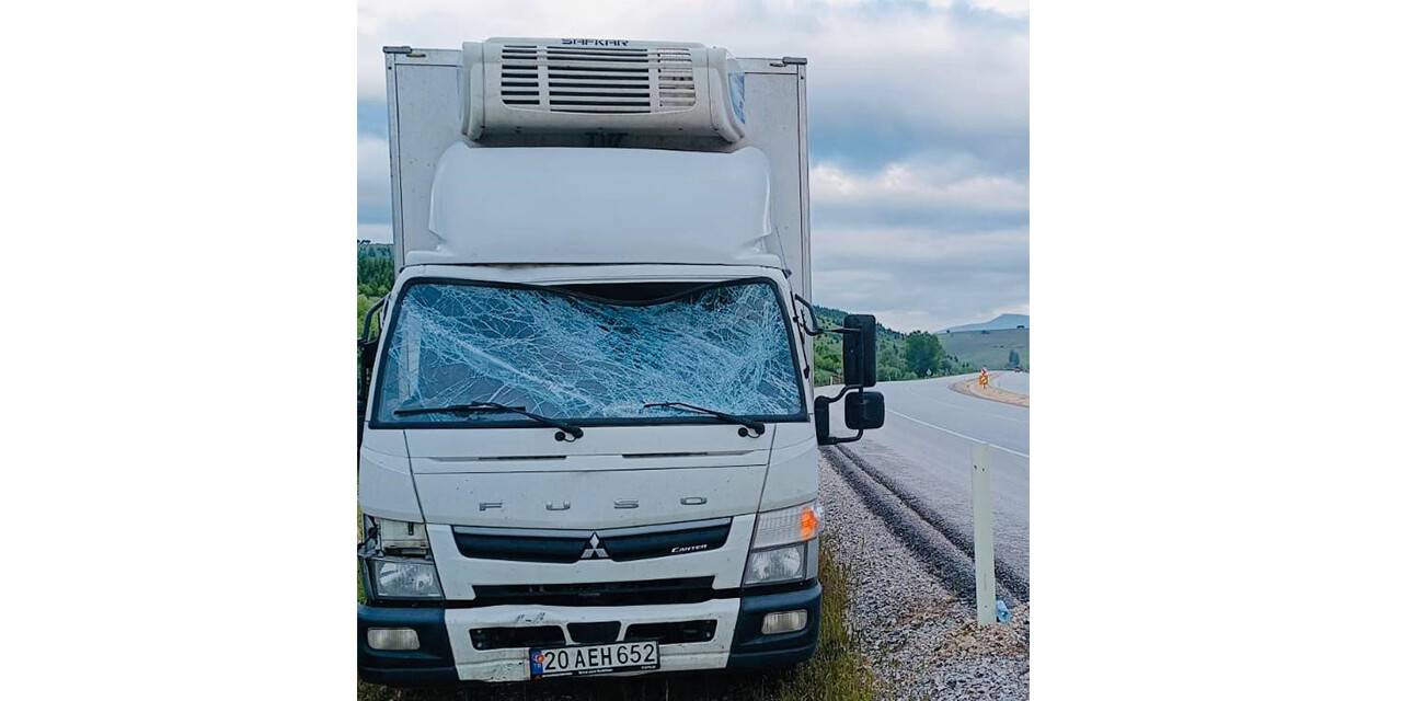 Trafik uyarı tabelasına çarpan kamyonet sürücüsü yaralandı