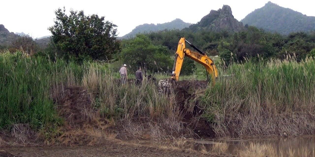 Sağanak yağış çeltik arazilerine zarar verdi