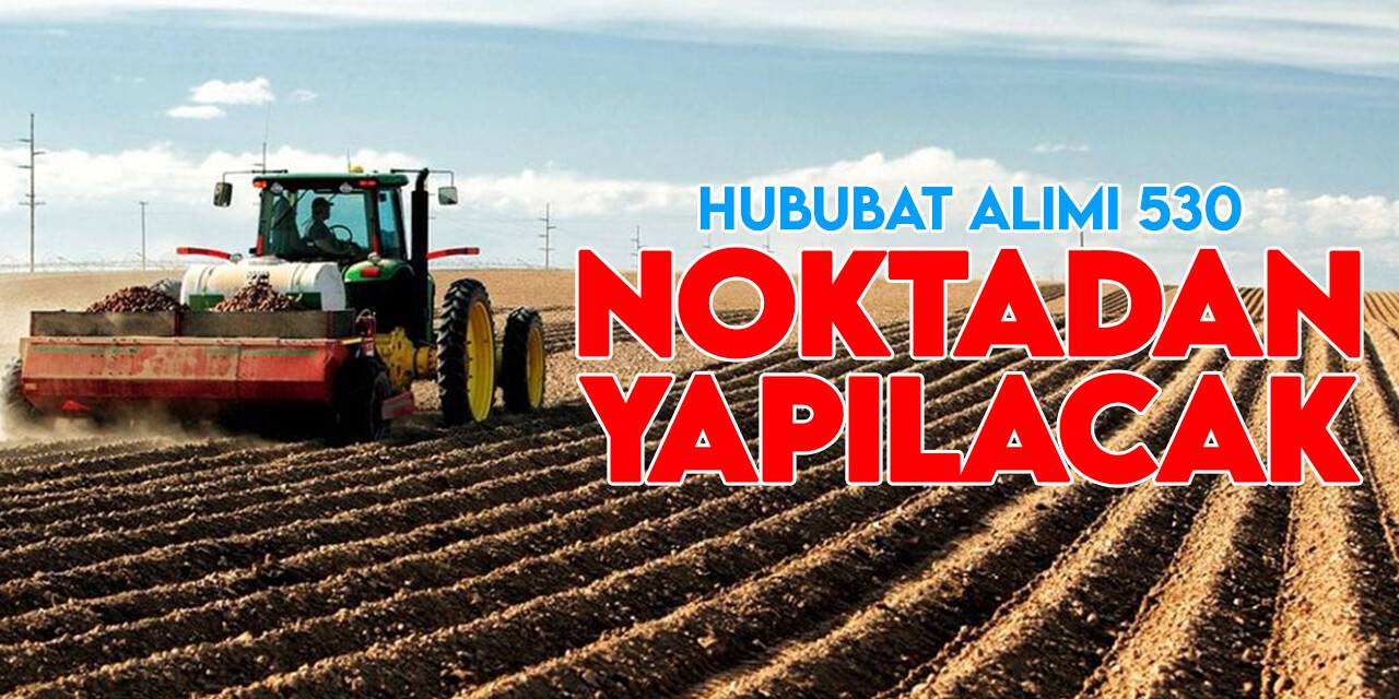 TMO hububat alımını 530 noktadan yapacak