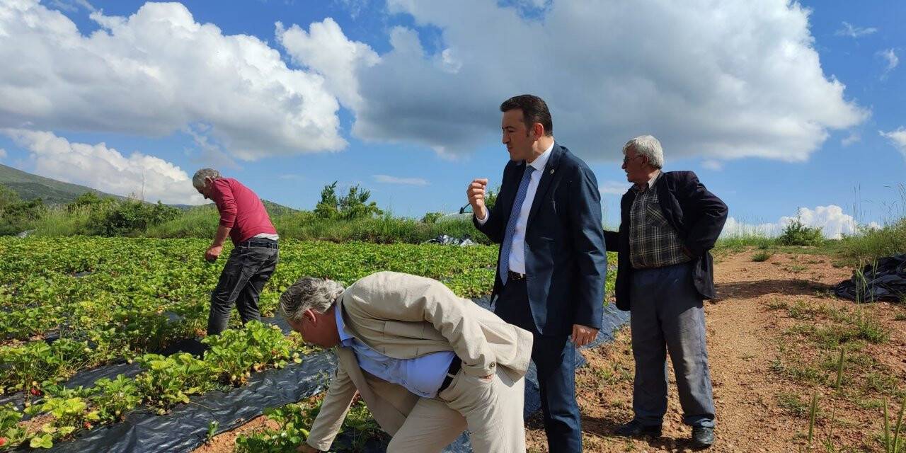 Bektaş, Derbent'te selden zarar gören üreticileri ziyaret etti